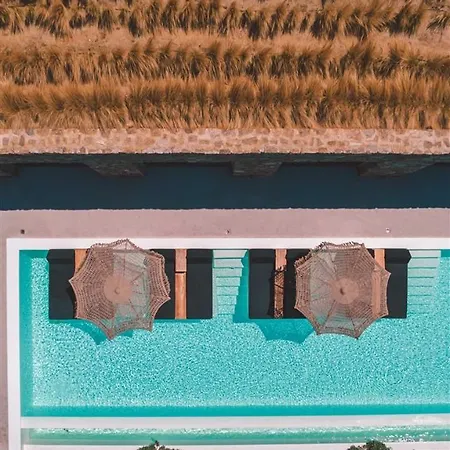 Villa Aora Ftelia Mykonos Panormos (Mykonos)