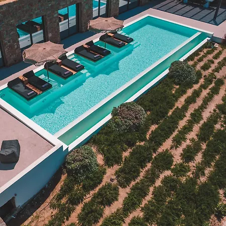 Villa Aora Ftelia Mykonos *