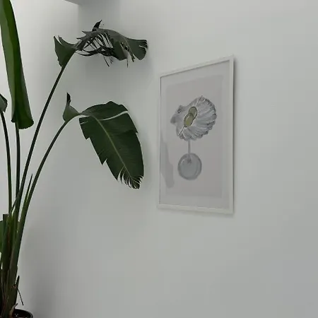 Aora Ftelia Mykonos *