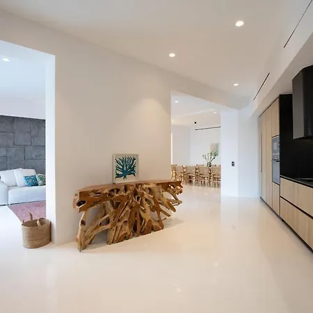 Aora Ftelia Mykonos *