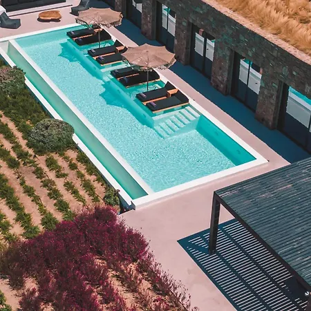 Aora Ftelia Mykonos فيلة بانورموس ميكونو