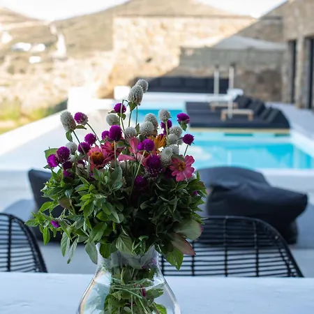 Aora Ftelia Mykonos * بانورموس ميكونو